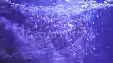 海洋水族馆鱼群水下气泡背景视频